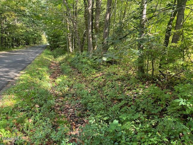 L6 Burtonville Road Fultonville NY 12072