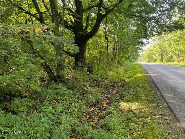 L6 Burtonville Road Fultonville NY 12072