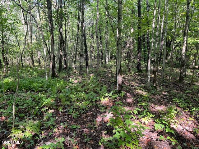L6 Burtonville Road Fultonville NY 12072