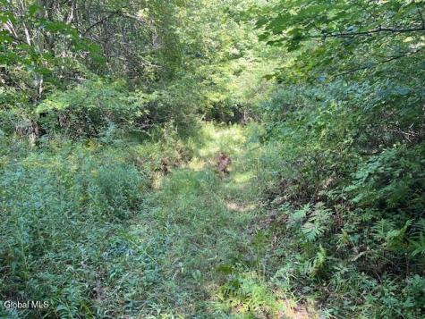 L6 Burtonville Road Fultonville NY 12072