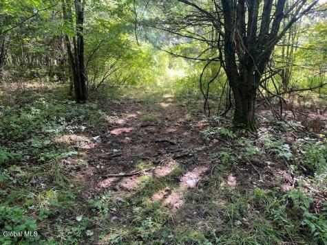 L6 Burtonville Road Fultonville NY 12072