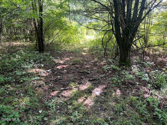 L6 Burtonville Road Fultonville NY 12072