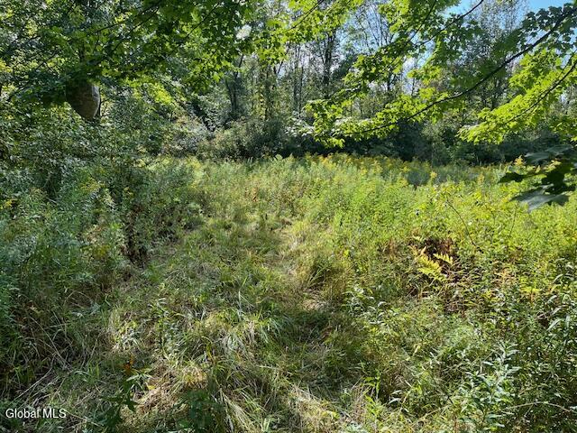 L6 Burtonville Road Fultonville NY 12072