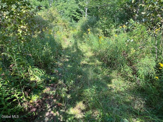 L6 Burtonville Road Fultonville NY 12072