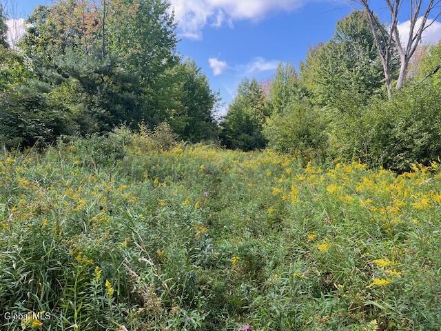 L6 Burtonville Road Fultonville NY 12072