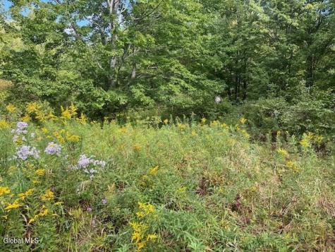 L6 Burtonville Road Fultonville NY 12072