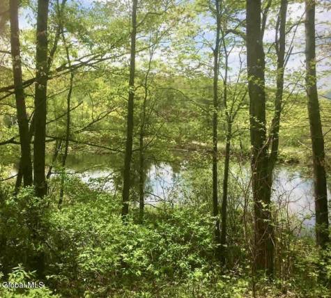 72 Ash Drive Lake George NY 12845