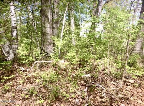 72 Ash Drive Lake George NY 12845
