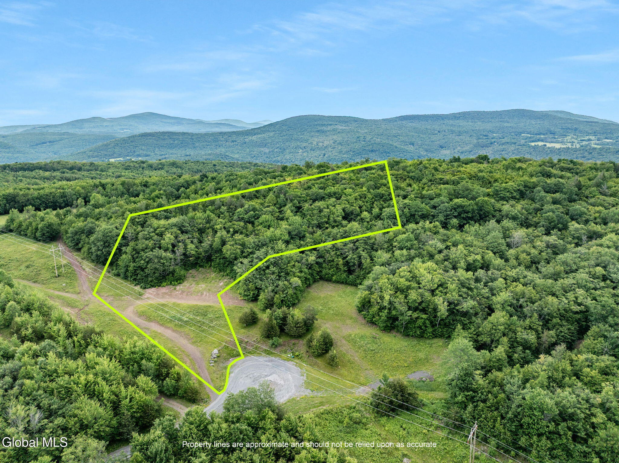 L35 Overlook Drive Prattsville NY 12452