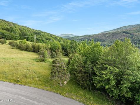 L35 Overlook Drive Prattsville NY 12452