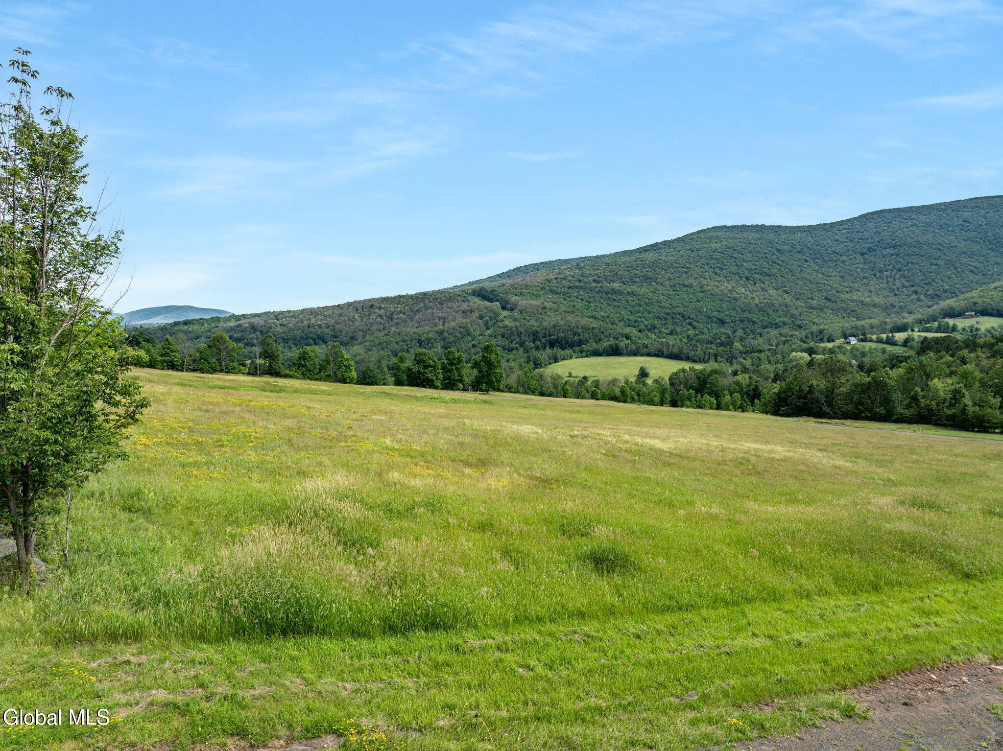L35 Overlook Drive Prattsville NY 12452