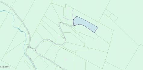 L35 Overlook Drive Prattsville NY 12452