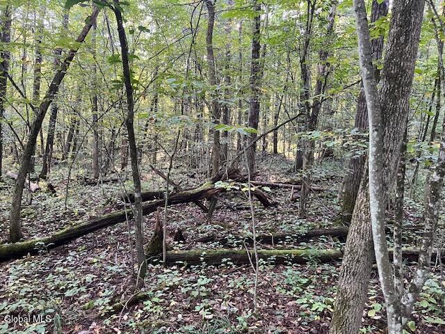 L16.111 Gordon Road Sloansville NY 12160