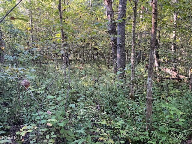 L16.111 Gordon Road Sloansville NY 12160