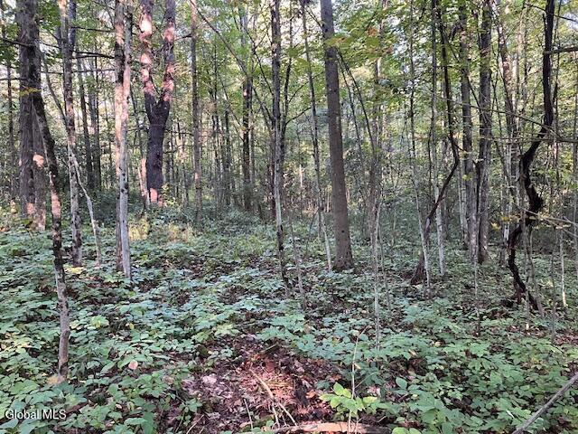 L16.111 Gordon Road Sloansville NY 12160