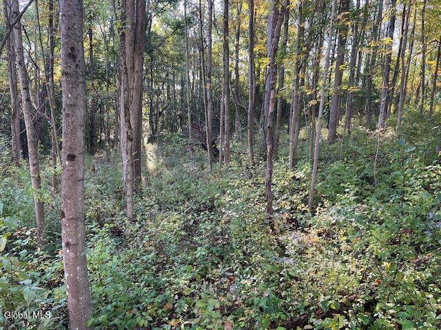 L16.111 Gordon Road Sloansville NY 12160