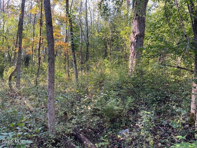 L16.111 Gordon Road Sloansville NY 12160