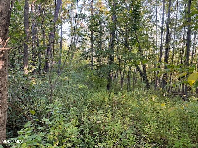 L16.111 Gordon Road Sloansville NY 12160