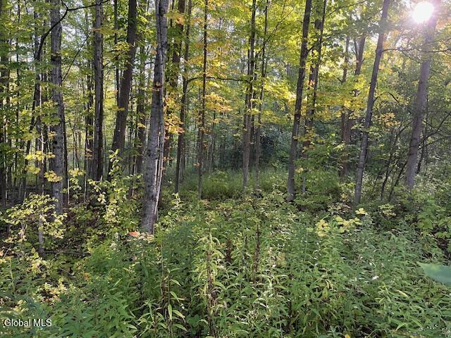 L16.111 Gordon Road Sloansville NY 12160