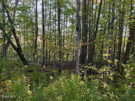 L16.111 Gordon Road Sloansville NY 12160
