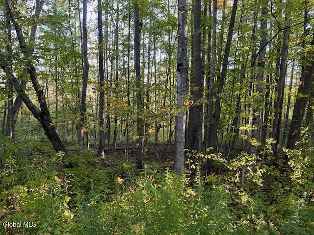 L16.111 Gordon Road Sloansville NY 12160