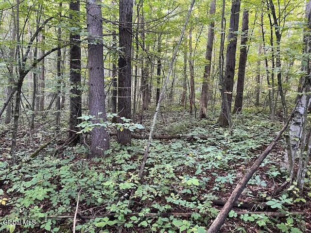 L16.111 Gordon Road Sloansville NY 12160