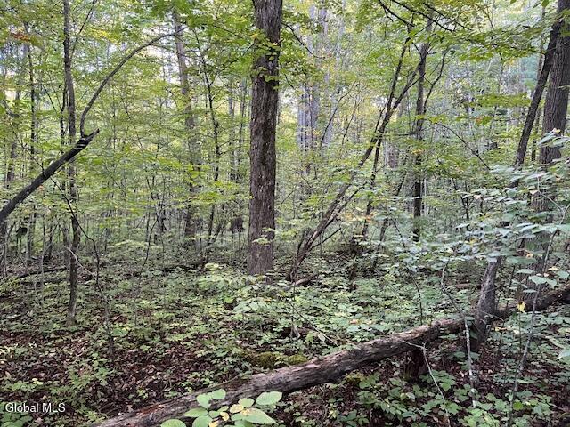 L16.111 Gordon Road Sloansville NY 12160