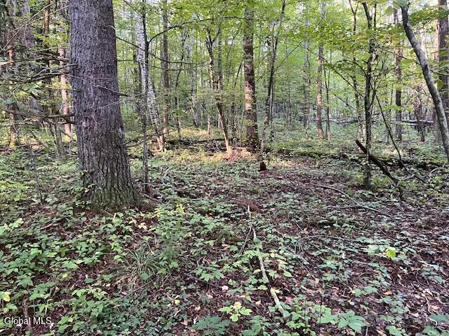 L16.111 Gordon Road Sloansville NY 12160