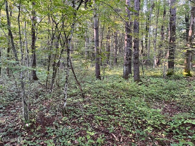 L16.111 Gordon Road Sloansville NY 12160