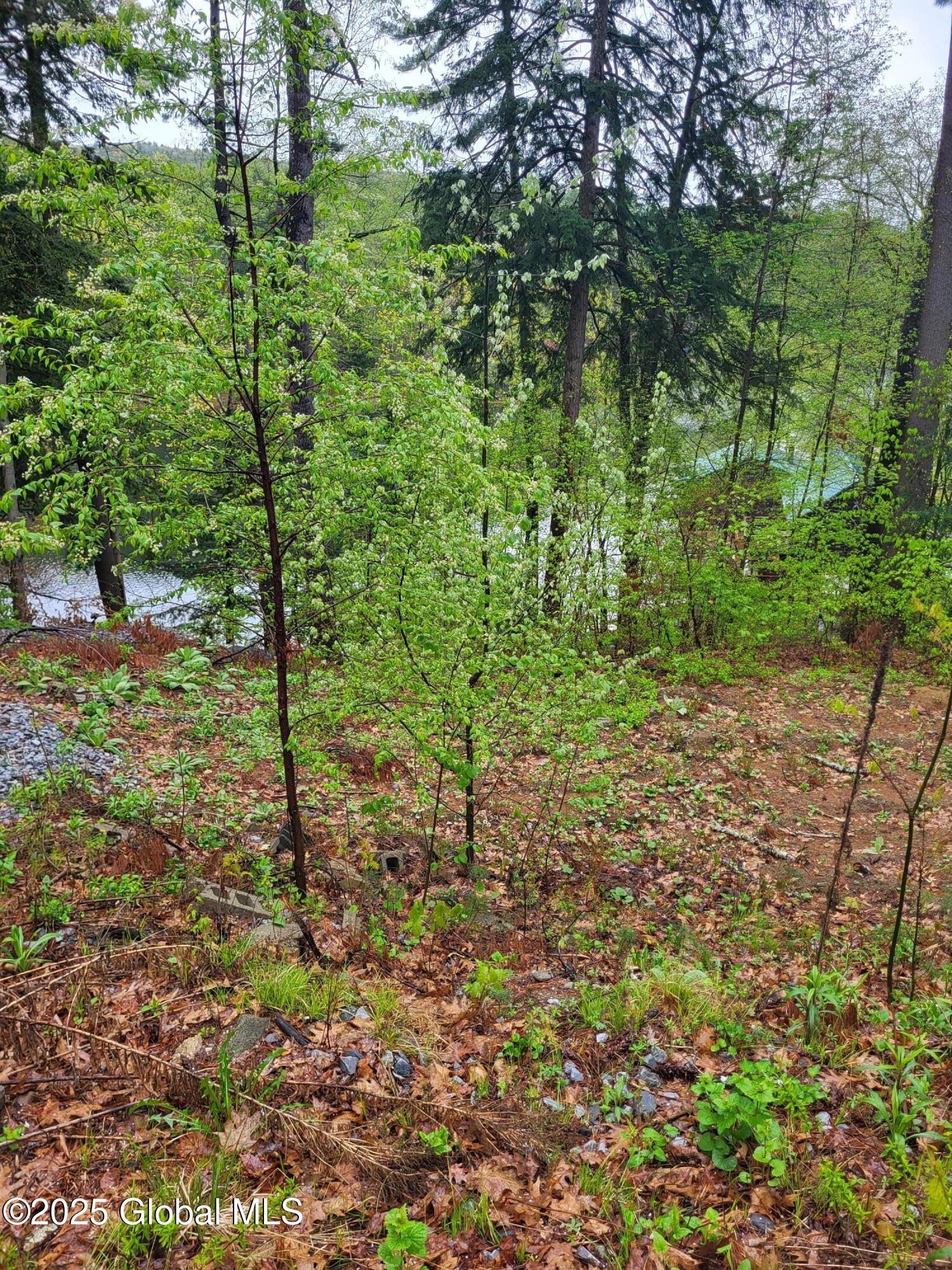 12 North Avenue Lake Luzerne NY 12846