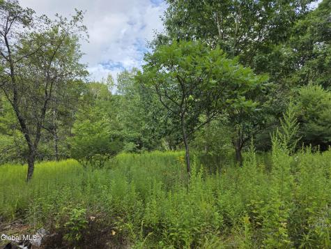 73 Brainard Road Averill Park NY 12018