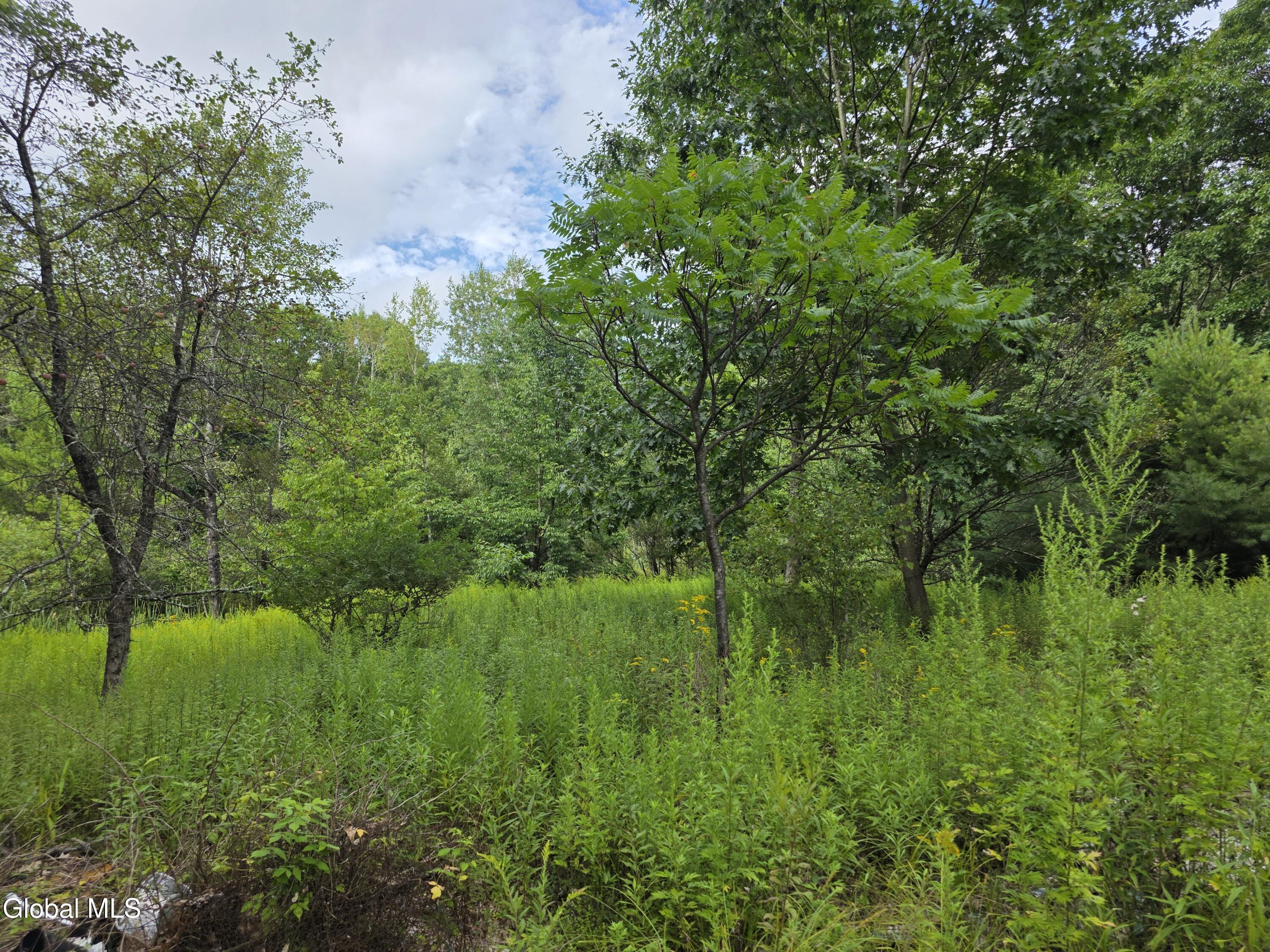 73 Brainard Road Averill Park NY 12018