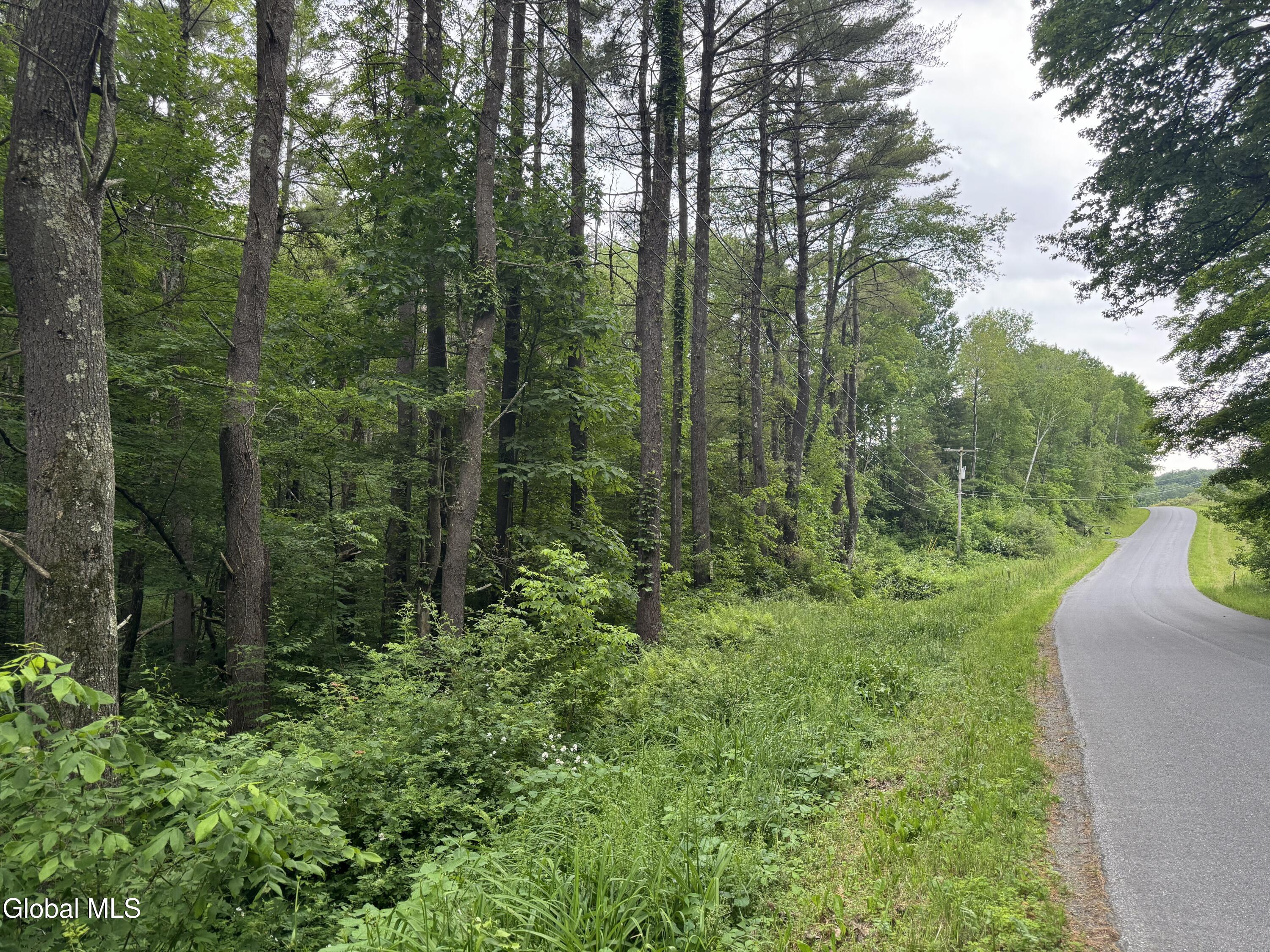 L20.4 Stevenson Road Cambridge NY 12816