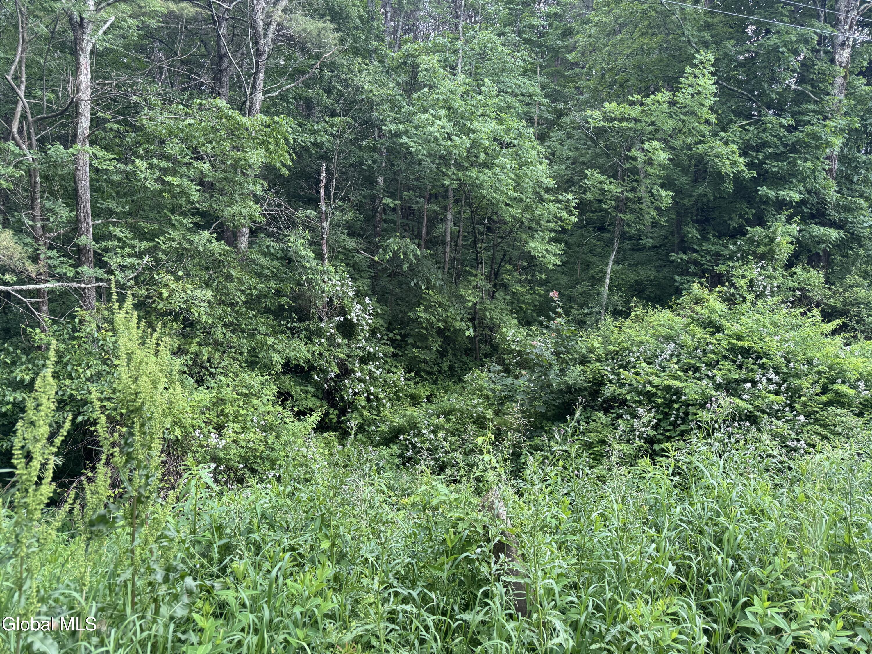 L20.4 Stevenson Road Cambridge NY 12816
