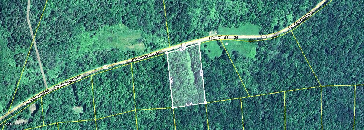 L2.29 Blenheim Hill Road Jefferson NY 12131
