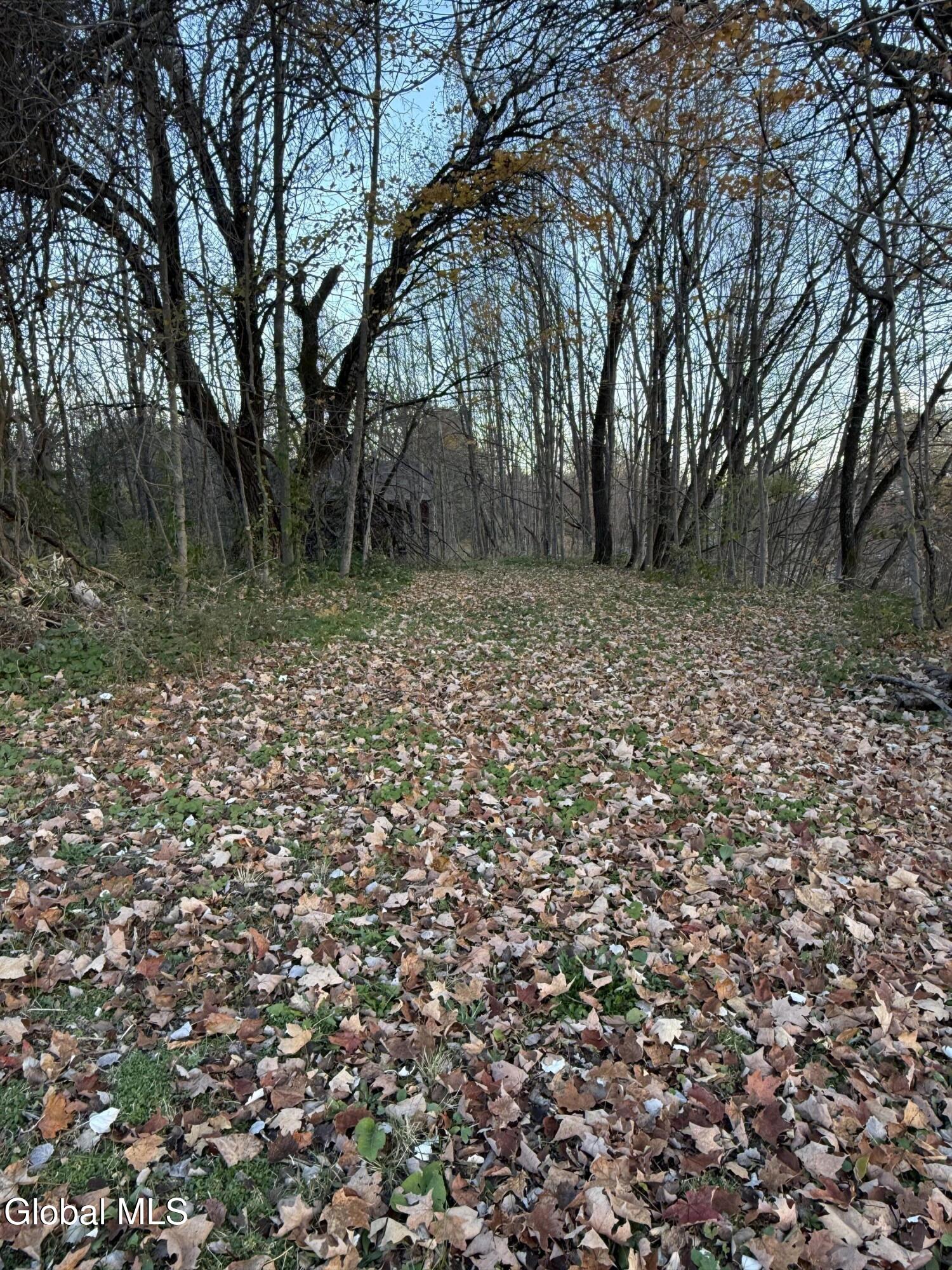 11977 U.s. 4 Whitehall NY 12887
