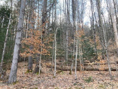 652 New Vermont Road Bolton Landing NY 12814