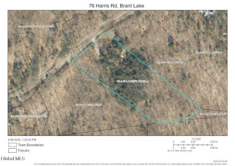 76 Harris Road Brant Lake NY 12815