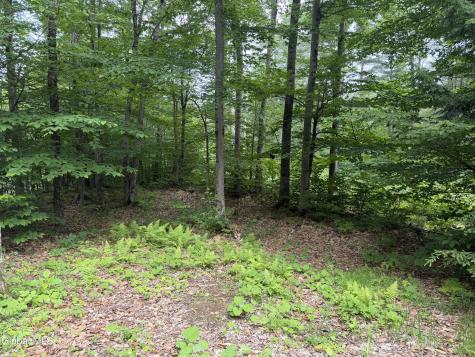 76 Harris Road Brant Lake NY 12815