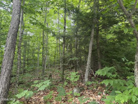 76 Harris Road Brant Lake NY 12815