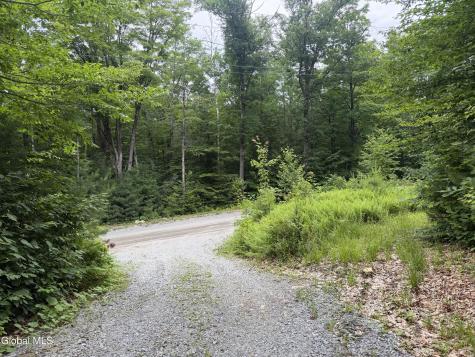 76 Harris Road Brant Lake NY 12815