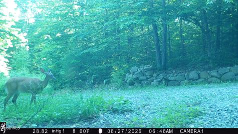 76 Harris Road Brant Lake NY 12815