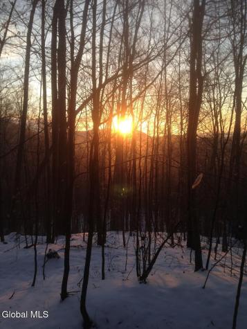 76 Harris Road Brant Lake NY 12815