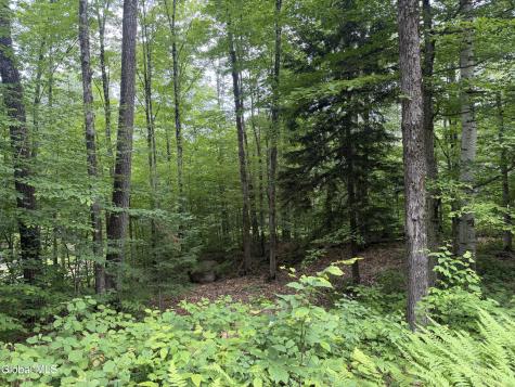 76 Harris Road Brant Lake NY 12815