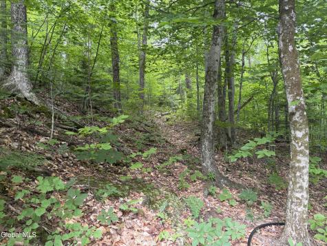 76 Harris Road Brant Lake NY 12815