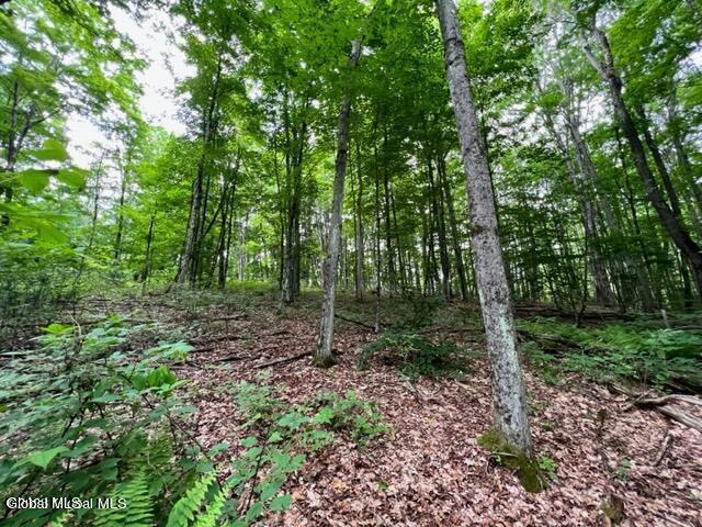 L 67.1 Mcgregor Road Gloversville NY 12078