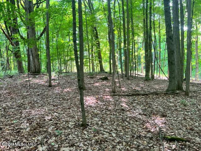 L 67.1 Mcgregor Road Gloversville NY 12078