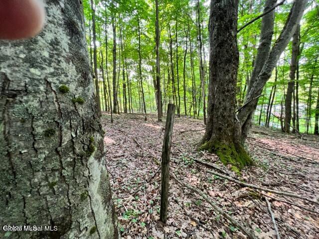 L 67.1 Mcgregor Road Gloversville NY 12078
