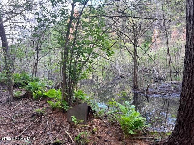 L 67.1 Mcgregor Road Gloversville NY 12078