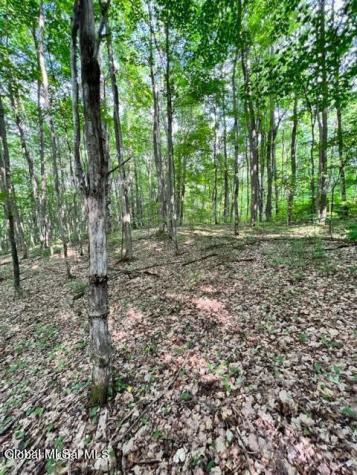 L 67.1 Mcgregor Road Gloversville NY 12078